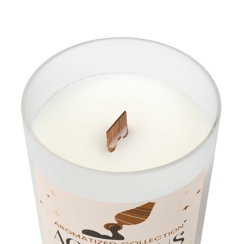 Aquarius Sea Minerals Candle | Frosted Glass Candle for Home Decor,